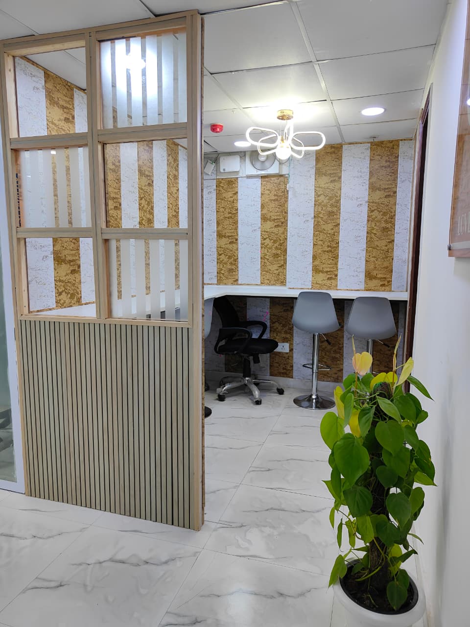 Company Registration Support